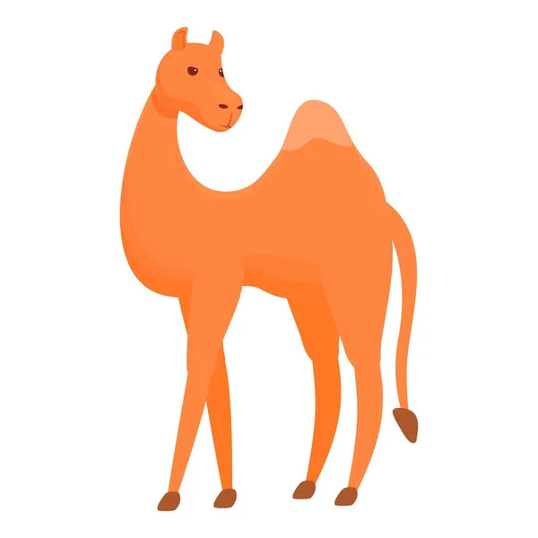 Lindo icono de camello, estilo de dibujos animados — Archivo Imágenes Vectoriales