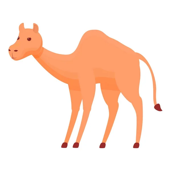 Icône de chameau à bosse, style dessin animé — Image vectorielle