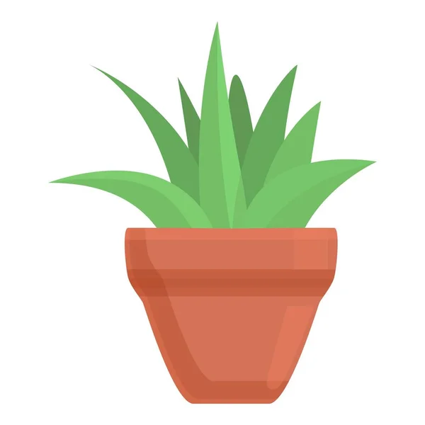 Succulent plant pot icon, cartoon style — Stock Vector