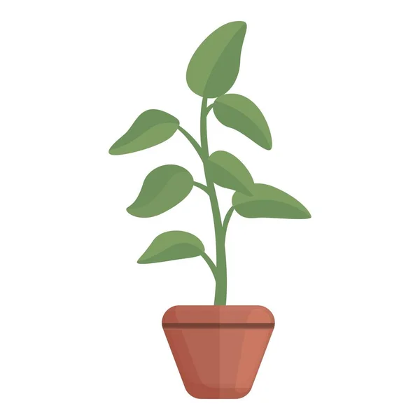 Botânica ícone vaso planta, estilo dos desenhos animados — Vetor de Stock