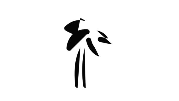 Palm tree icon animation — Stock Video