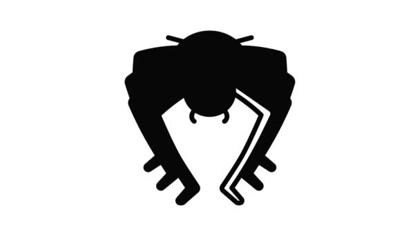 Animazione icona ragno bug — Video Stock