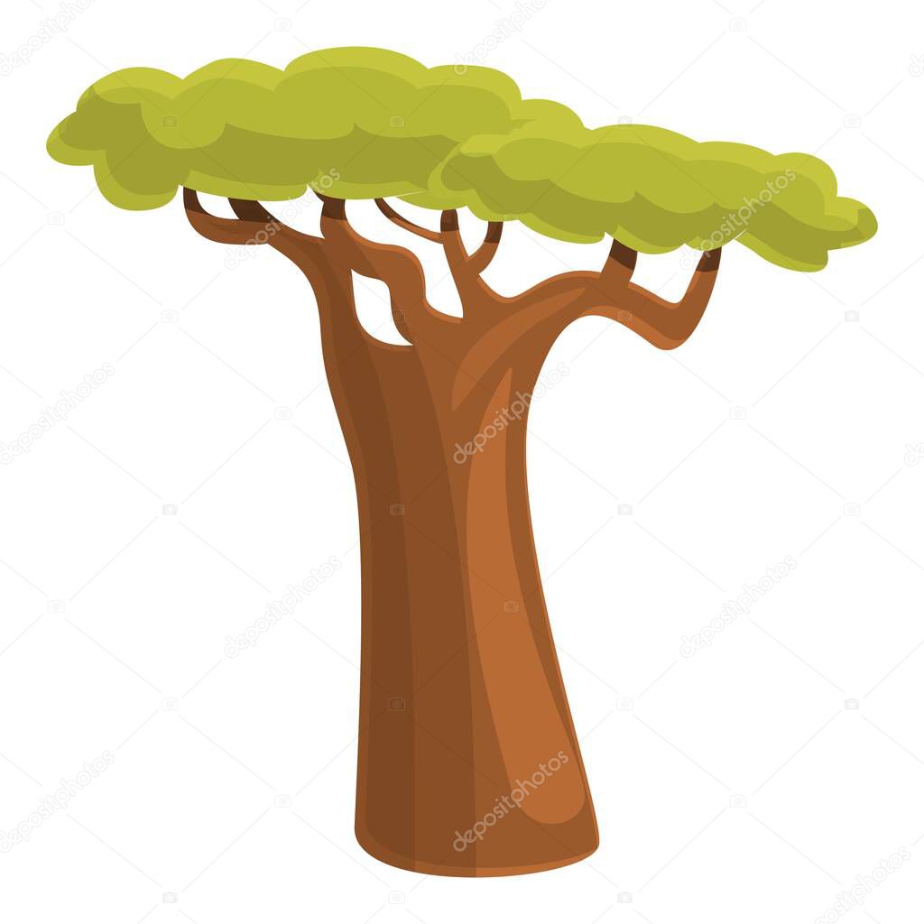 Wild baobab tree icon, cartoon style