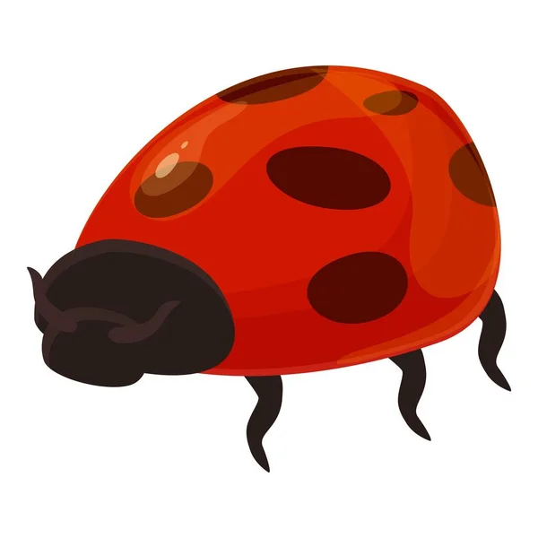 Vektor kreslené ikony berušky. Bug ladybird — Stockový vektor