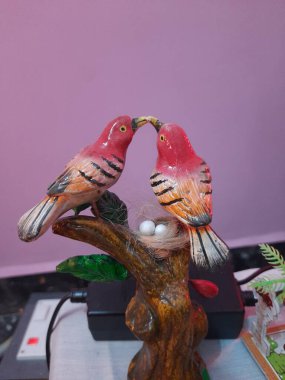 Natratri Golu Festivali Hindistan 'da iki güzel kuş oyuncağı.