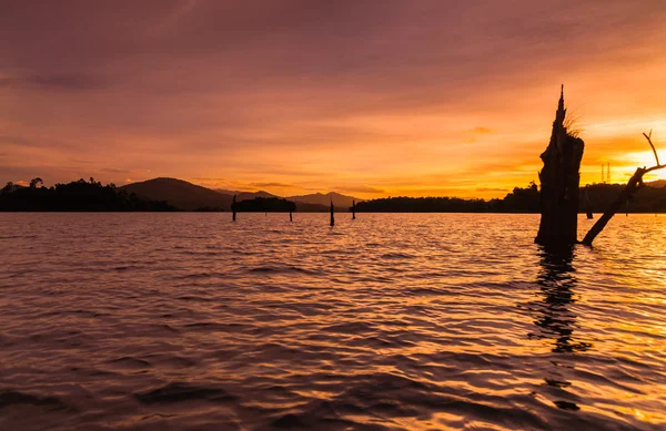 Ceppo nel lago Kenyir durante il tramonto — Foto Stock