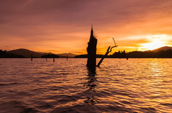 Ceppo nel lago Kenyir durante il tramonto — Foto Stock