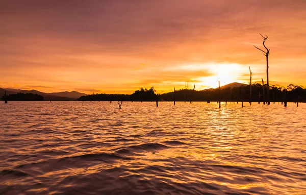 Ceppo nel lago Kenyir durante il tramonto — Foto Stock