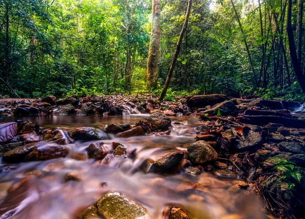 Kanching parque recreativo — Foto de Stock