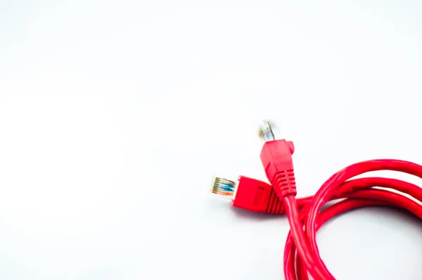 Red network cable with isolated white background — Stock Photo, Image