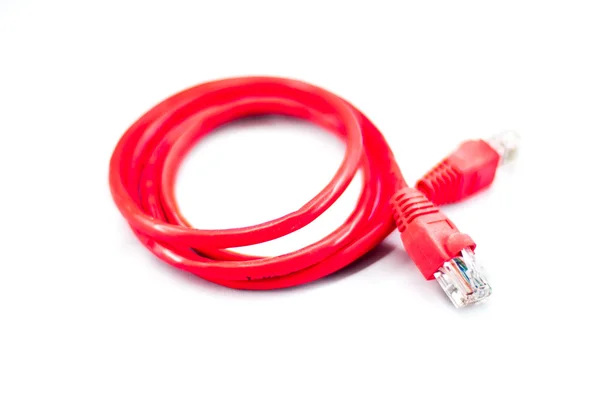 Red network cable with white background — Stock Photo, Image