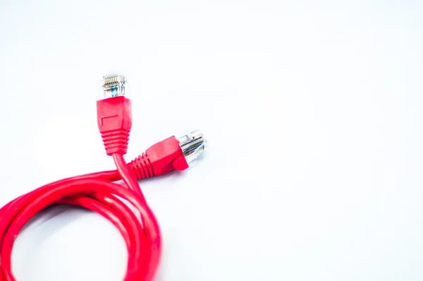 Red network cable with white background — Stock Photo, Image