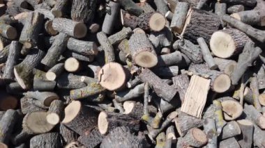 Kesilmiş dallar. Isıtma sobaları ve şömineler için ağaç gövdeleri. Tahta kütükler.