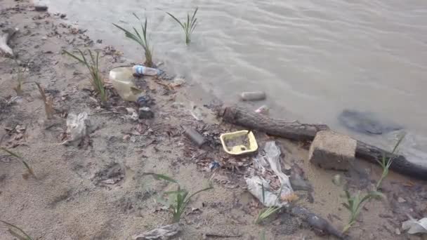 Břeh jezera. plastové odpadní desky sterilní rozbité láhve střepy kovové plechovky — Stock video