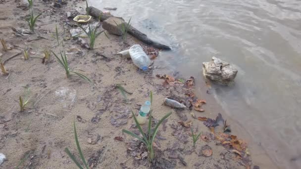 Ufer des Sees. Plastikabfallteller steril zerbrochene Flaschen Scherben Metalldosen — Stockvideo