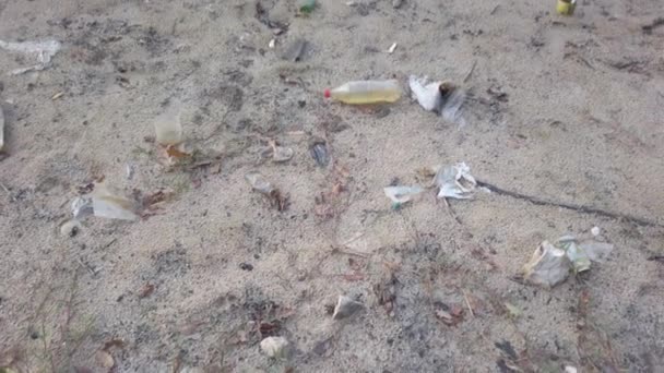 Orilla del lago. plástico residuos placas estériles botellas rotas fragmentos latas de metal — Vídeos de Stock