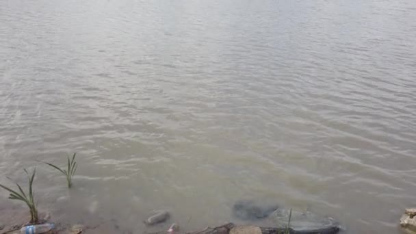 Beaucoup de déchets plastiques, plaques, bouteilles brisées stériles éclats boîtes métalliques sur le rivage — Video