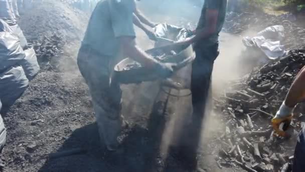 Muži ve špinavých šatech prosévají spálené klády dřevo na topení balící uhlí do pytlů — Stock video