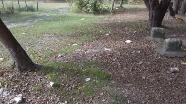 Mucha basura, botellas de plástico, platos, vasos en el suelo, en la hierba. — Vídeos de Stock