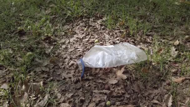 Jede Menge Müll, Plastikflaschen, Teller, Gläser auf dem Boden, auf Gras. — Stockvideo