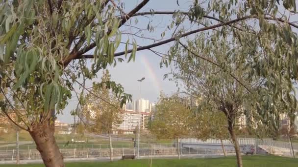 Early morning in city park. Big bright amazingly beautiful rainbow in sky. — Stock Video