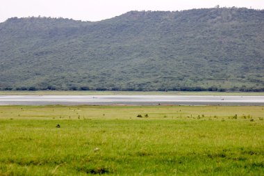 Nehirler, dağlar, çim