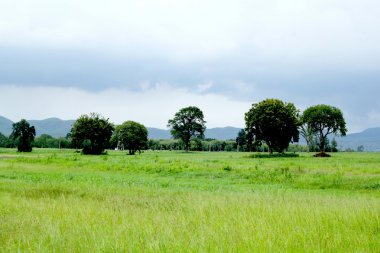 Çamurlu olan kırsal yollar.