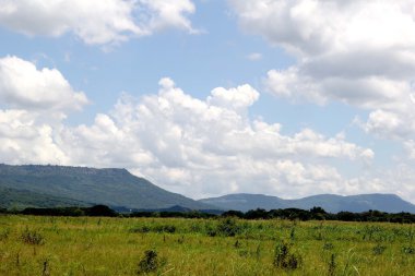 Bahar alanına Sunset