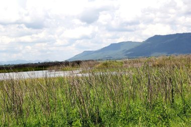 Bahar alanına Sunset