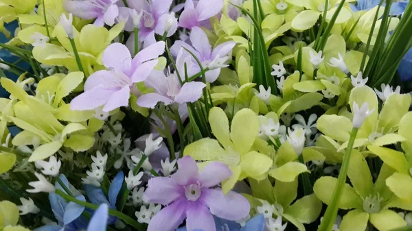 Fondo de flores de plástico —  Fotos de Stock