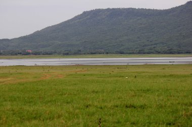 Nehirler, dağlar, çim