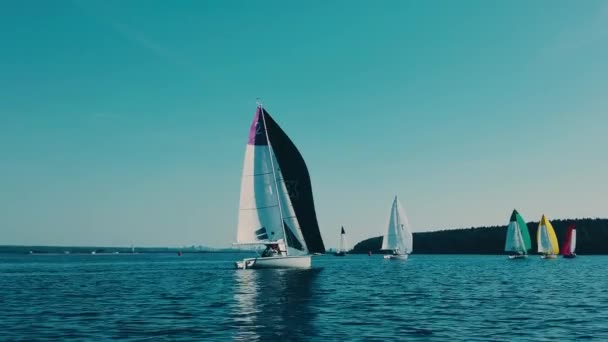 Pohled na plachtění regata. Jachty na slunném dni na pozadí zeleného pobřeží. — Stock video