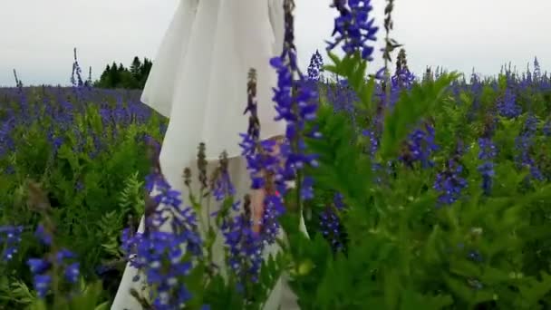 Beyaz elbiseli kadın çiçek tarlasında yürür ve çiçeklere dokunur.. — Stok video
