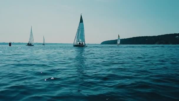 Парусные яхты на фоне волн, голубой морской поверхности, ясного неба. — стоковое видео