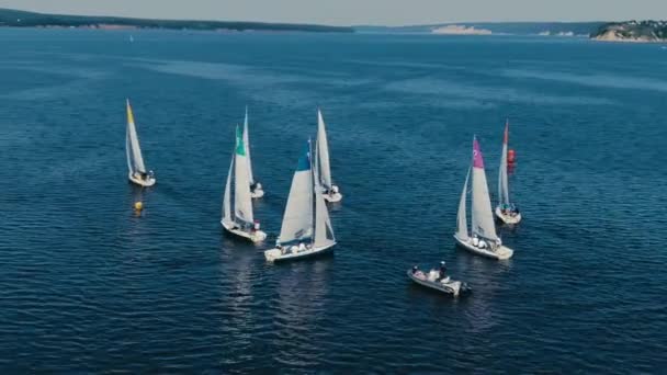 Pohled na plachtění regata z výšky. pozadí čisté oblohy, zelené pobřeží. — Stock video