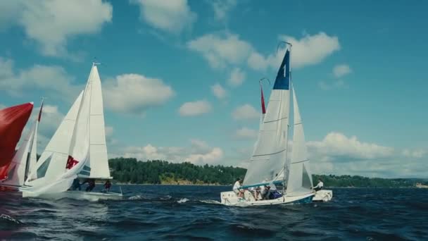 Regata de vela a lo largo del río con el telón de fondo de verdes colinas y el cielo azul. — Vídeos de Stock