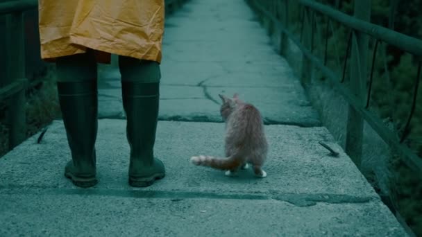 Man in protective suit, rubber boots walks across bridge with a cat against. — Stock Video