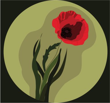 Haşhaş çiçeğinin vektör çizimi, haşhaşlı kartpostal