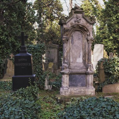 Prag, Çek Cumhuriyeti - 8 Mart 2021 Prag 'daki eski Olsany mezarlığı, güzel taş mezar taşları ve heykeller