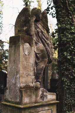 Prag, Çek Cumhuriyeti - 8 Mart 2021 Prag 'daki eski Olsany mezarlığı, güzel taş mezar taşları ve heykeller