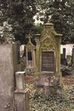 Prag, Çek Cumhuriyeti - 8 Mart 2021 Prag 'daki eski Olsany mezarlığı, güzel taş mezar taşları ve heykeller