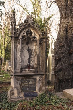 Prag, Çek Cumhuriyeti - 8 Mart 2021 Prag 'daki eski Olsany mezarlığı, güzel taş mezar taşları ve heykeller