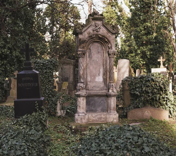 Prag, Çek Cumhuriyeti - 8 Mart 2021 Prag 'daki eski Olsany mezarlığı, güzel taş mezar taşları ve heykeller