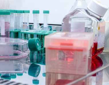 Laboratuvarda steril koşullarda hücre kültürü şişesi. Laminar akışı, hücre kültürü medyumu ve test tüpleri üzerine bilimsel araştırma.