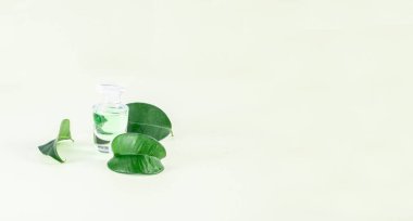 İncir ve esans yeşil yaprakları ya da mataralarda organik özler. Alternatif tıp için doğal besleyiciler, sağlıklı kozmetik konsepti.