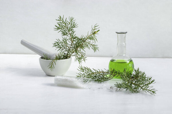 Juniper branches in mortar with pestle and sea salt in glass weighting bottle. Natural ingridients use for alternative medicine, healthy cosmetics concept.