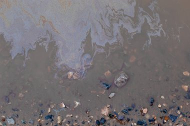 Yol kenarındaki çamurlu su birikintisinde benzin lekeleri var. Petrol sızıntısı. Çevre kirliliği.