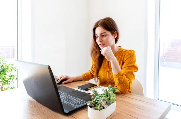 Defoktus. Genç kadın bilgisayar kullanarak çevrimiçi eğitim görüyor. Serbest çalışan bir kadın dizüstü bilgisayarda geziniyor. Aşırı bilgi yüklenmesi kavramı. Teknoloji ve insanlar. Evdeki konfor bölgesi. Ağ işi.