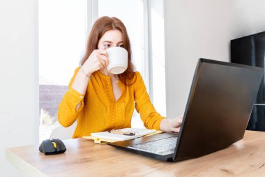 Defoktus. Genç kadın bilgisayar kullanarak çevrimiçi eğitim görüyor. Serbest çalışan bir kadın dizüstü bilgisayarda geziniyor. Aşırı bilgi yüklenmesi kavramı. Teknoloji ve insanlar. Evdeki konfor bölgesi. Ağ işi.