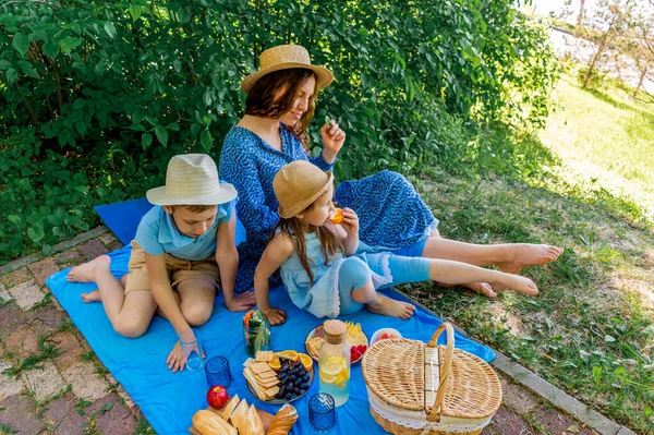 Família Piquenique Livre Mãe Crianças Estão Almoçar Natureza Conceito Bem — Fotografia de Stock